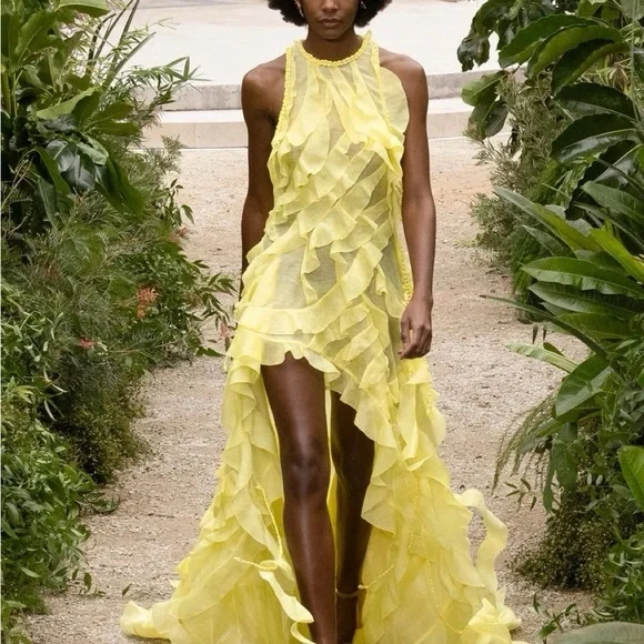 Zimmermann Yellow High Low Ruffled Dress - Picture 2 of 3